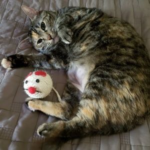 Meet your Posher, Nancy